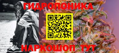 прущие грибы Малгобек
