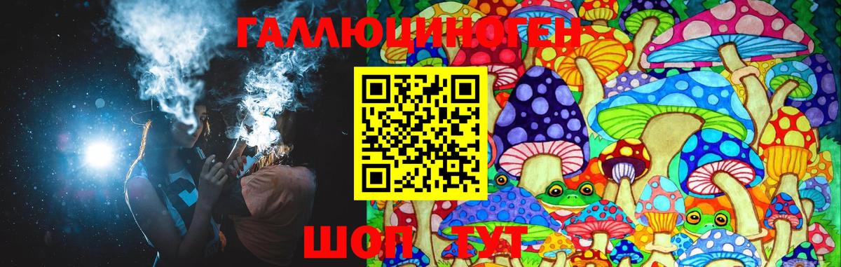 Галлюциногенные грибы Cubensis Верхняя Пышма